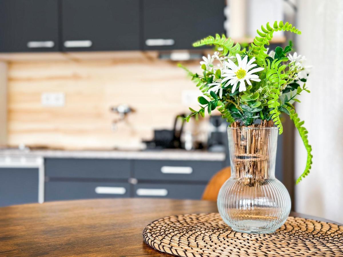 Neukirchen  Modernes Apartment Naehe Chemnitz Wifi Netflix מראה חיצוני תמונה